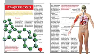 Анатомический атлас. Основы строения и физиологии человека